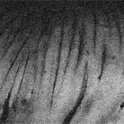 Vorbkt : Torn Inside